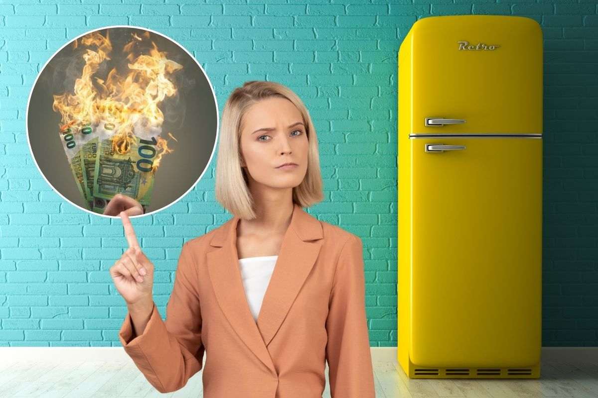 Frigo e donna che indica soldi che bruciano