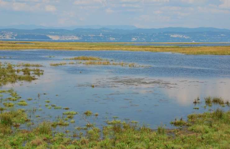 fiume friuli