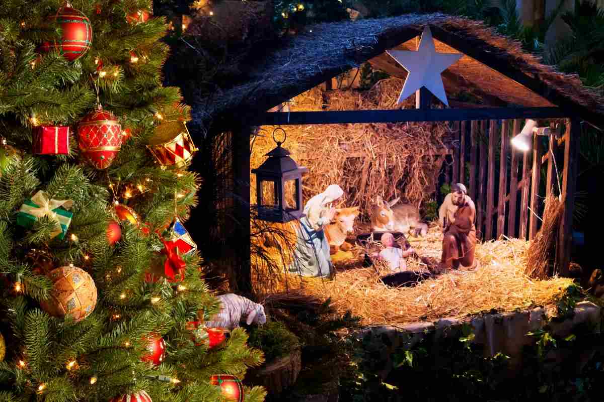 Albero di Natale decorato accanto a un presepe illuminato.