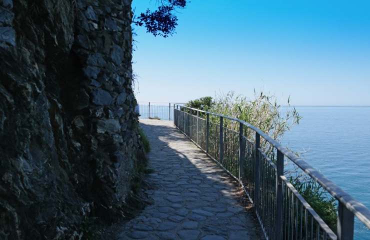 cinque terre sentiero